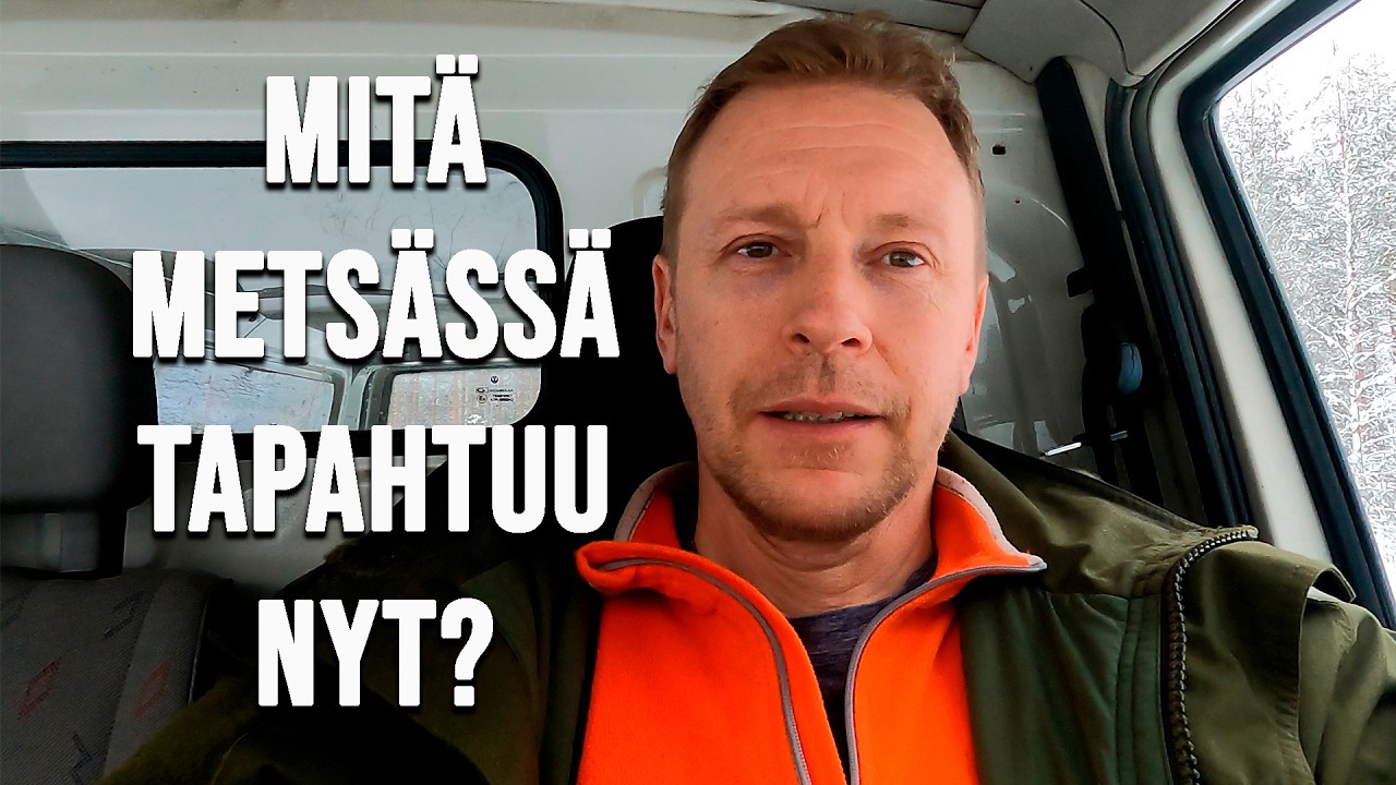 MITÄ METSÄSSÄ NYT TAPAHTUU? Talvipäivän havaintoja.