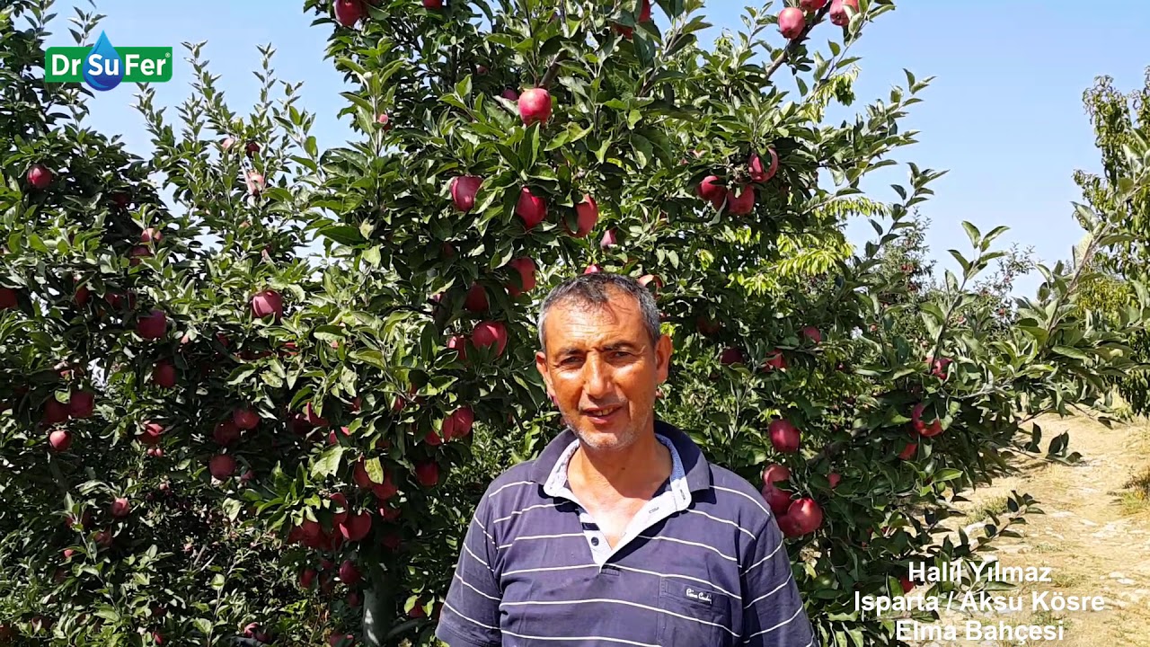 Halil Yılmaz - Elma Bahçesi (Isparta/Eğirdir Kösre)
