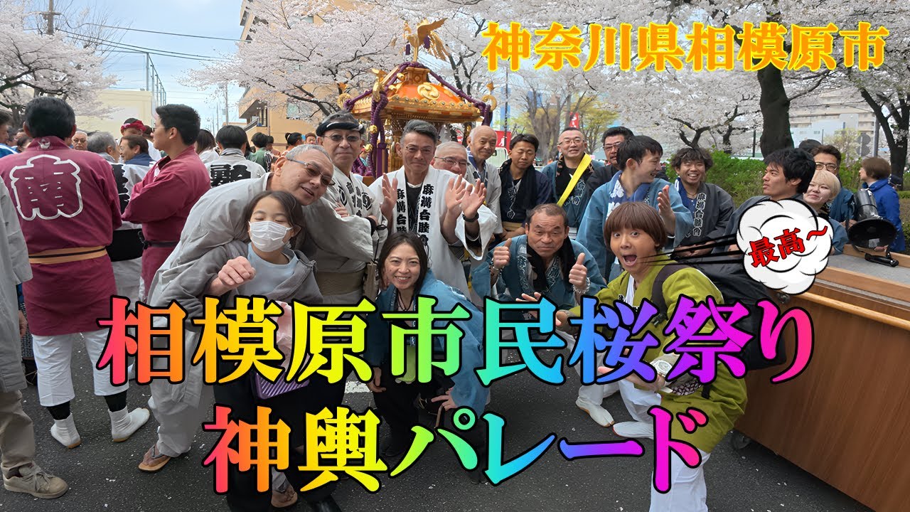 「相模原市民桜祭り 神輿パレード」。江戸前6基、どっこい1基による迫力ある神輿パレードは観る者を魅了。最高～。