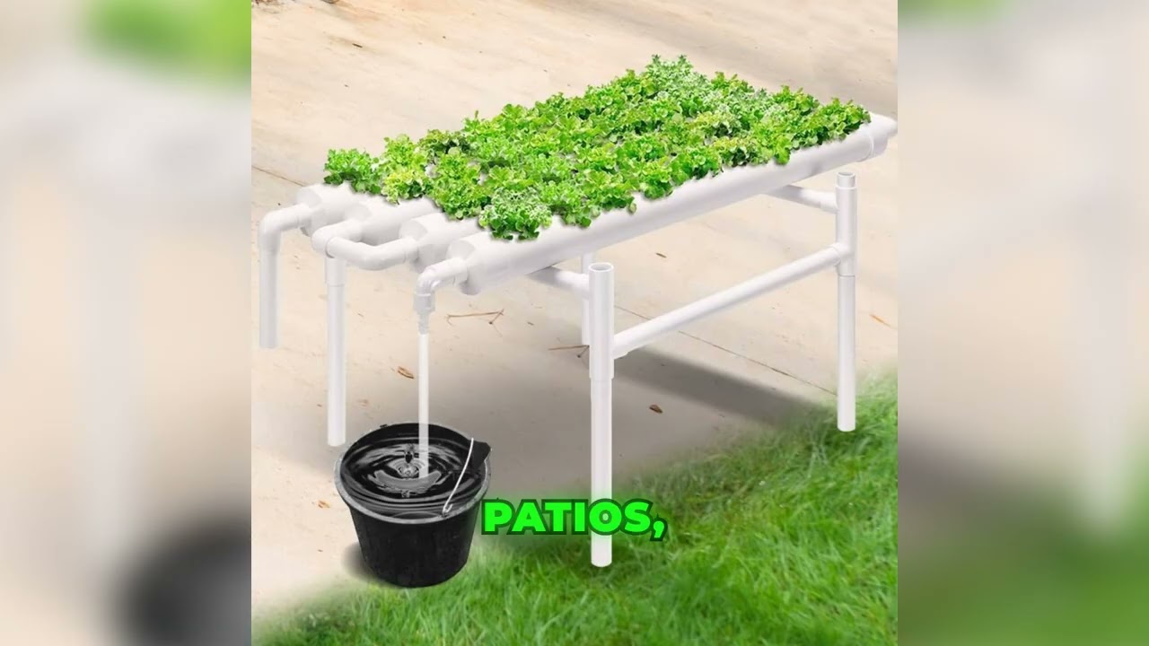 Unlock Unlimited Growth with Hydro Kits 🚀