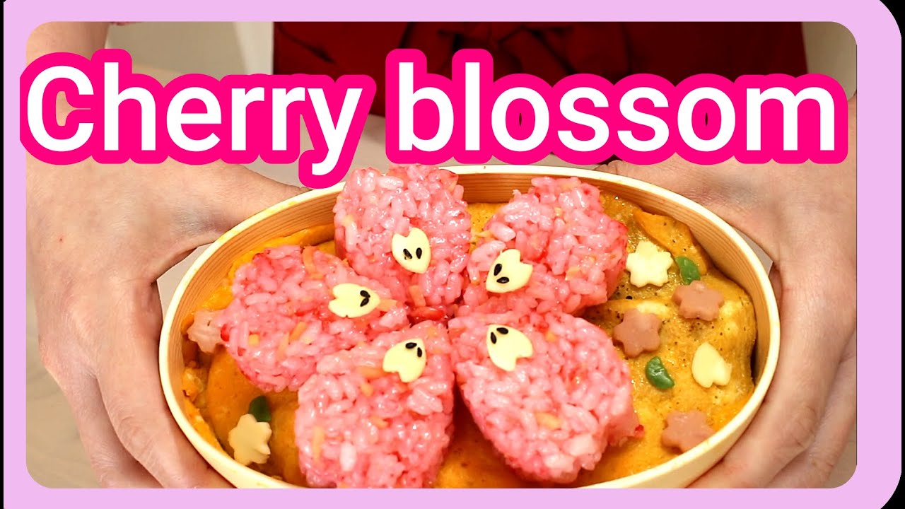 japanese cooking Cherry blossom lunch box, bento