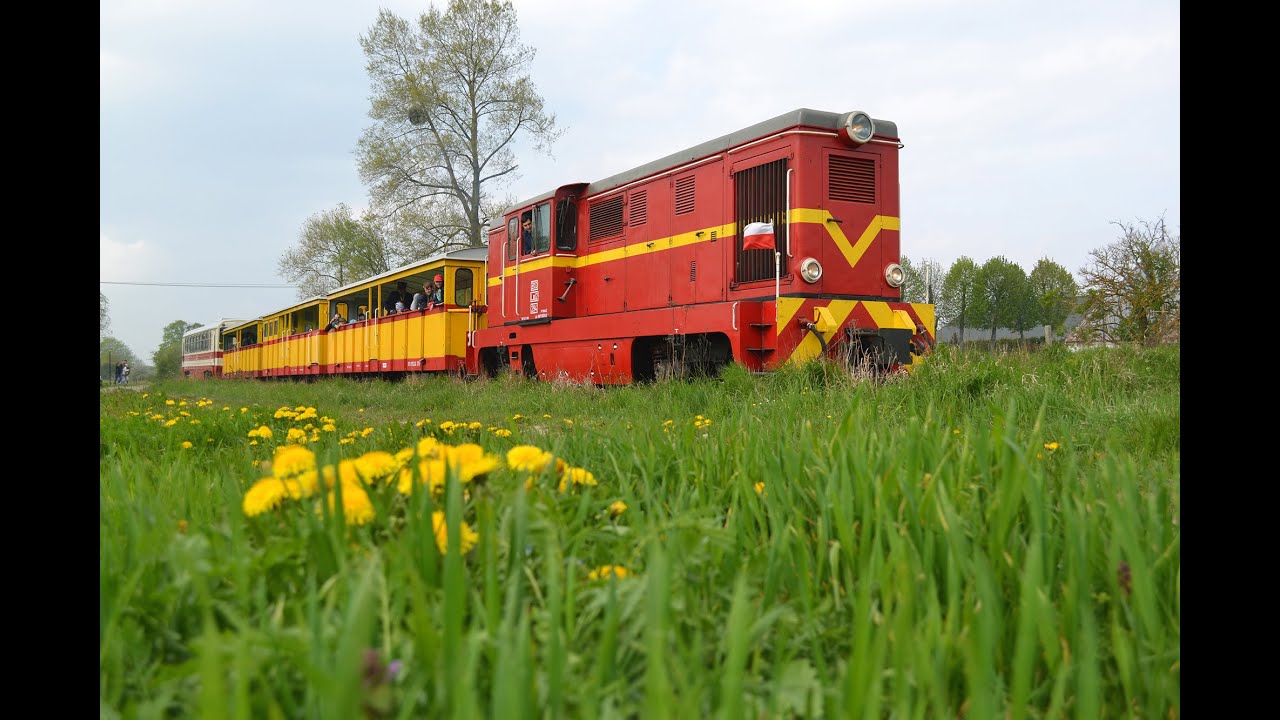 Żuławska Kolej Dojazdowa MAJÓWKA 2014