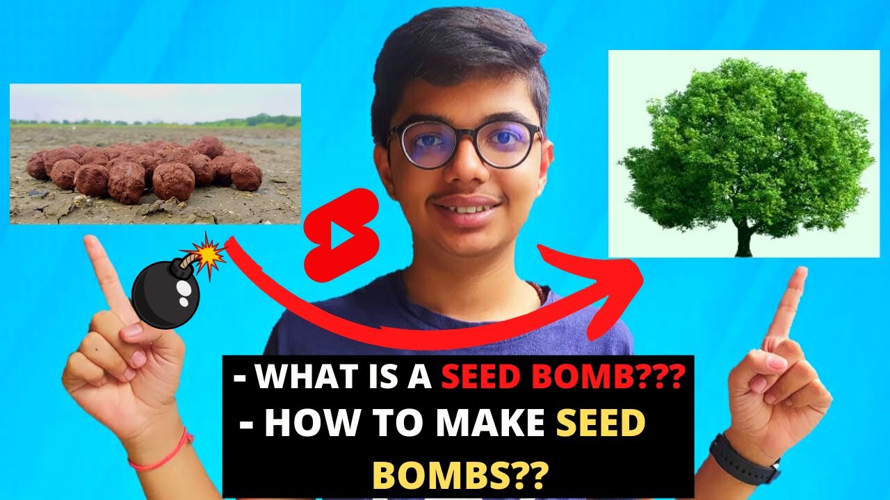 What are Seed bombs?? 💣| #shorts | Simply Plants / Gardening / plants / Seed bombing / afforestation