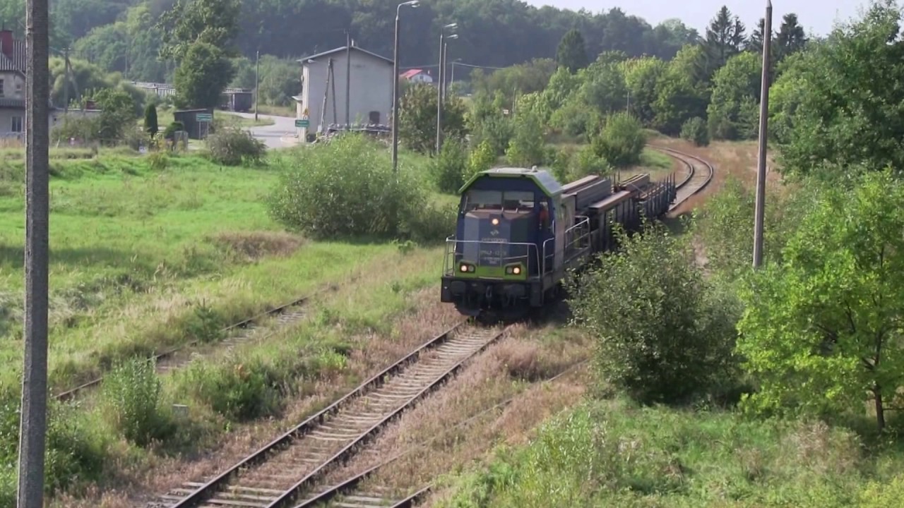 SM42-1229 i kilka ujęć z linii zarośniętej trawą