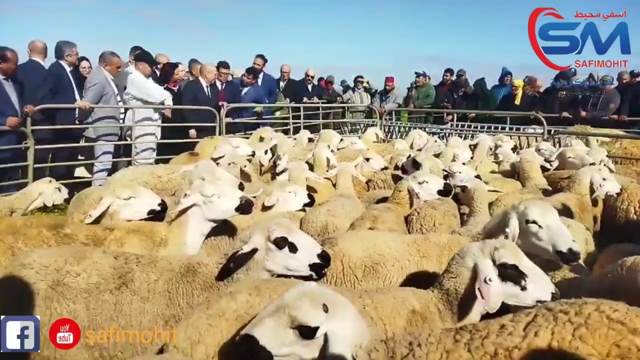 الرحامنة.حظات من الزيارة لوزير الفلاحة لإطلاق مشاريع كبرى في الفلاحة والزراعة الغابوية ودعم التنمية 