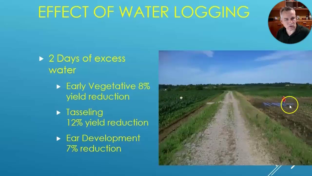 Effects Of Waterlogging On Crop Yield
