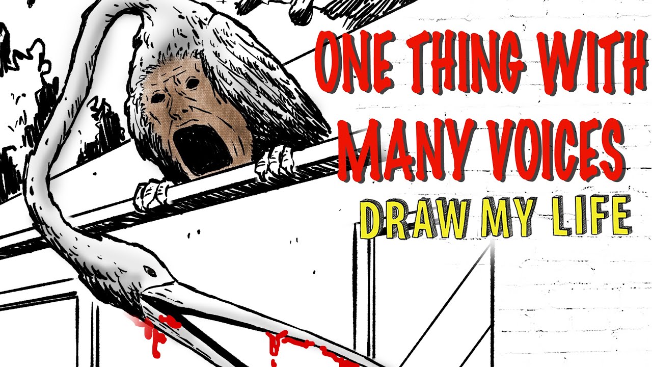 One Thing With Many Voices : Draw My Life