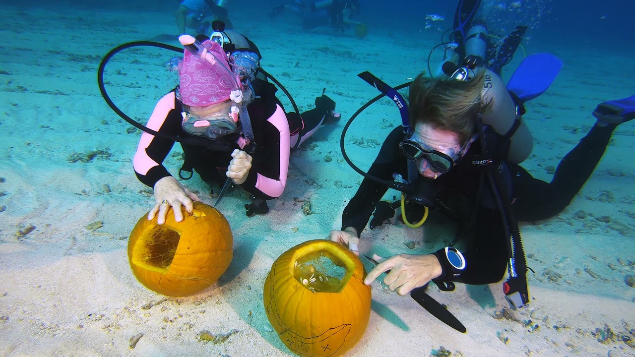 Key Largo, Florida Keys : Underwater Pumpkin Carving Contest 2019