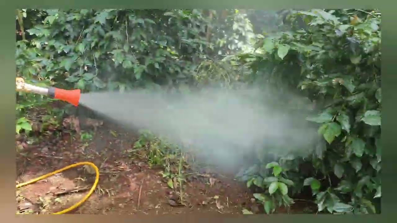 USAGE OF SPRAY GUN BRAGALIA #dr #coorg #vst #vstpowertiller #drkrushika