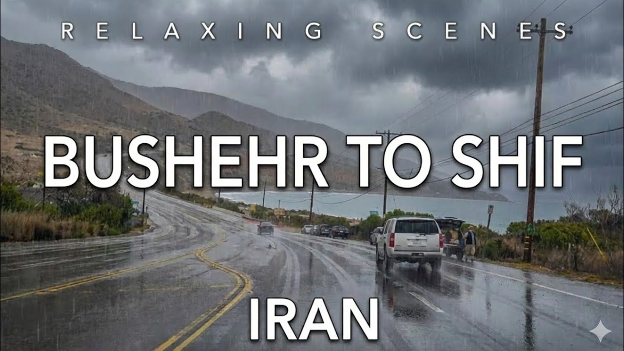 Scenic Coastal Drive in Iran 🇮🇷 | Driving from Bushehr to Shif Island (Persian Gulf) 4K – DCM 2025