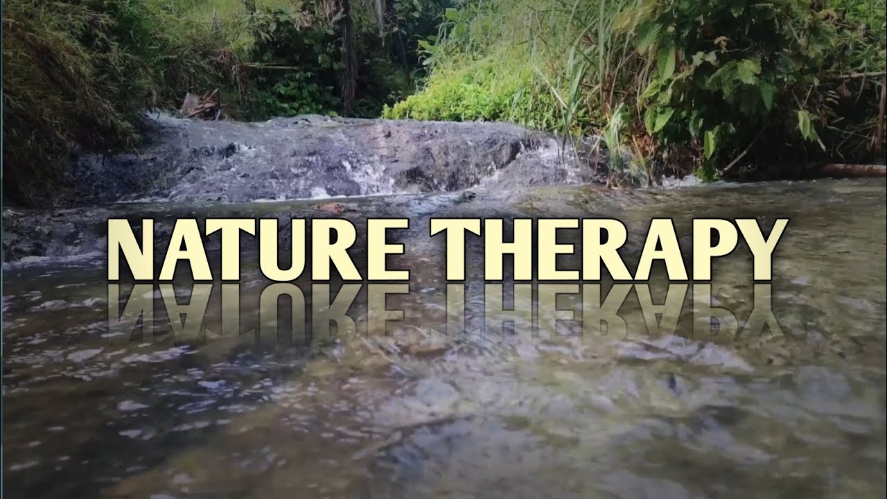 Gentle Forest Stream Therapy 🌿💦 | Natural Water Sounds for Relaxation & Peace