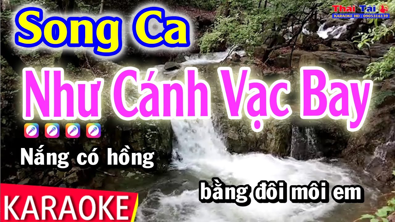 Karaoke Như Cánh Vạc Bay Song Ca | Thái Tài