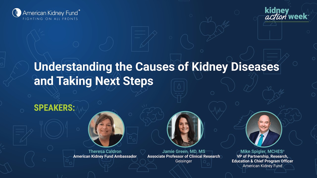 Understanding the Causes of Kidney Disease and Taking Next Steps
