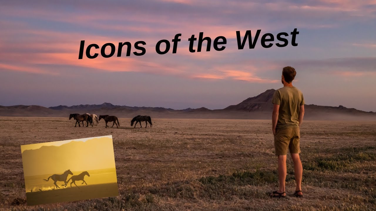 WILDLIFE PHOTOGRAPHY -  Photographing WILD MUSTANGS, a day spent in the DESERT with WILD HORSES