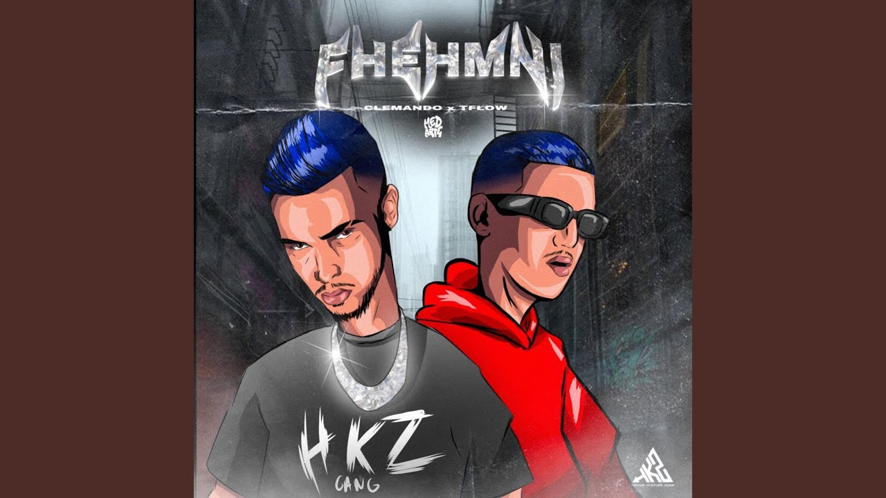 Fhemni (feat. Tflow)