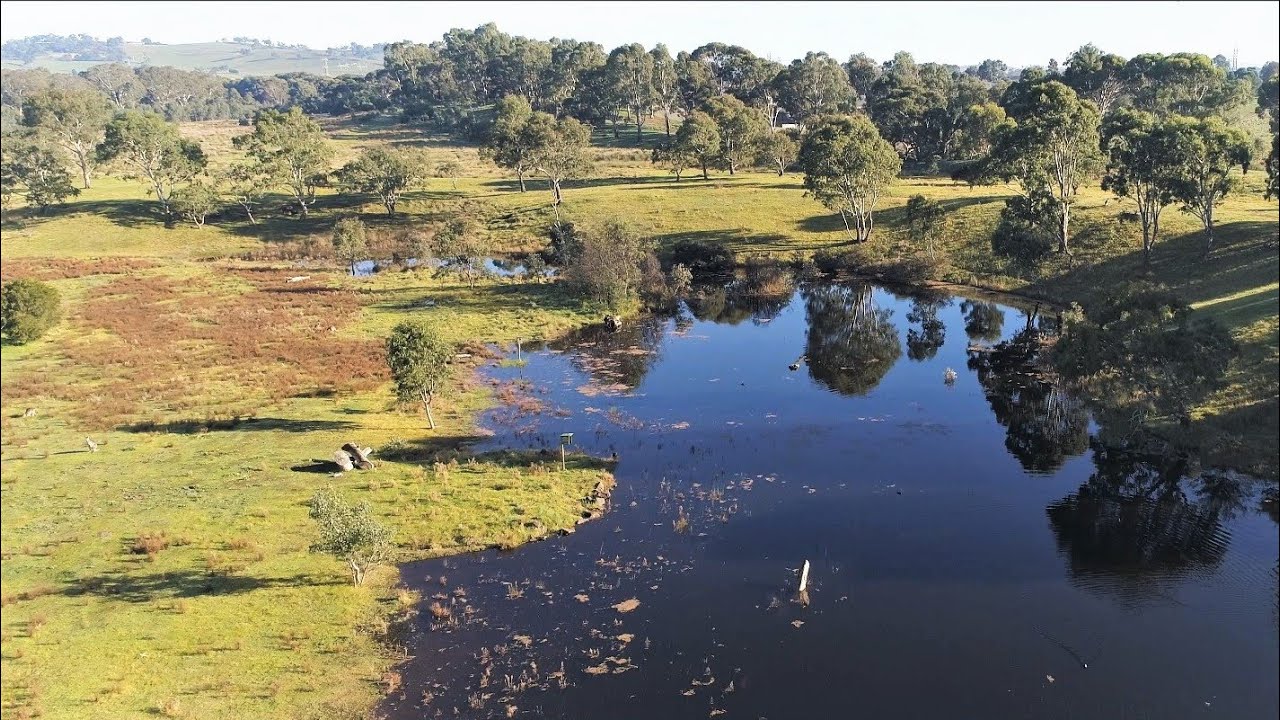 Morang Wetlands, Plenty Gorge Parklands (drone)