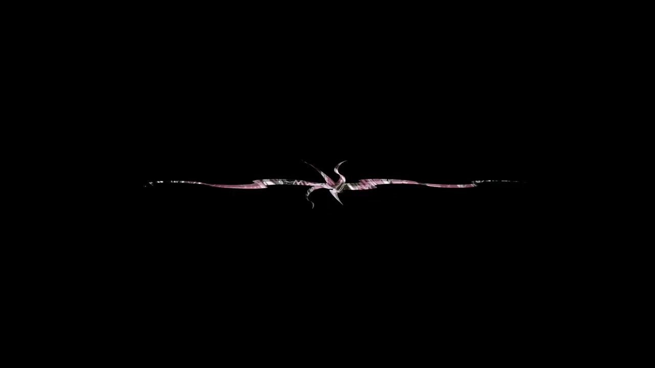 RUIDERO visuals 01