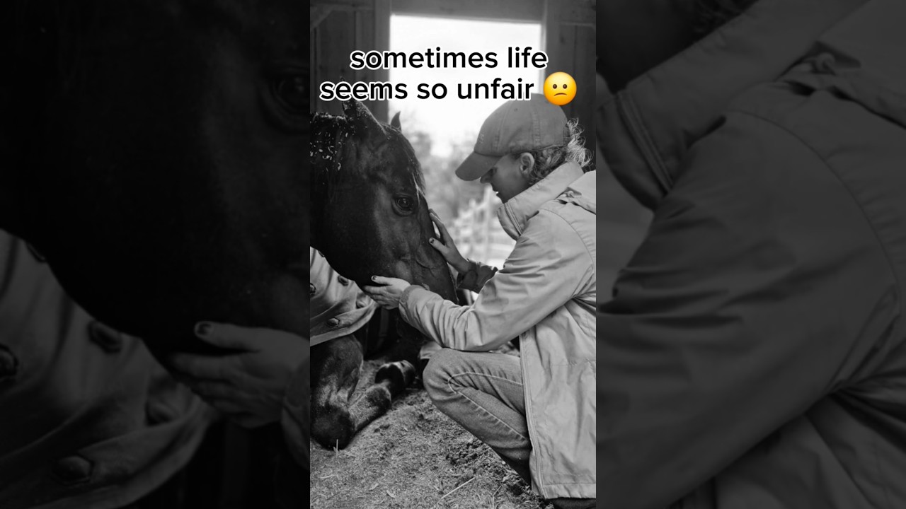 Sometimes it sucks 😕 #horse #epm #laminitis #founder #farm #illness