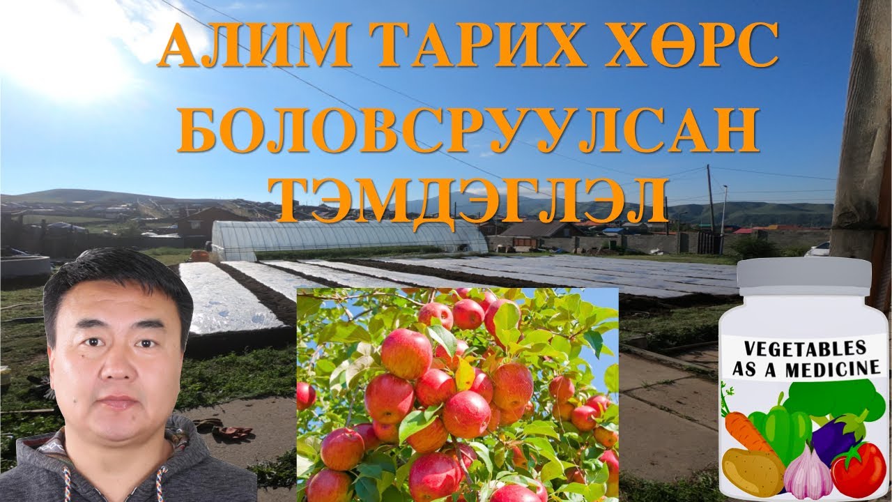 Алим жимсний мод тарих хөрсөө боловсруулсан тэмдэглэл   HD 720p