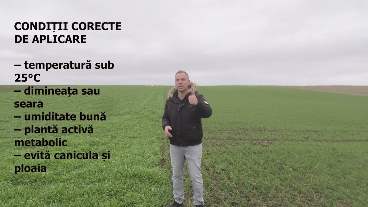 Îngrășămintele foliare explicate corect | Zinc, Bor, Mangan – când și de ce se aplică #agricultura
