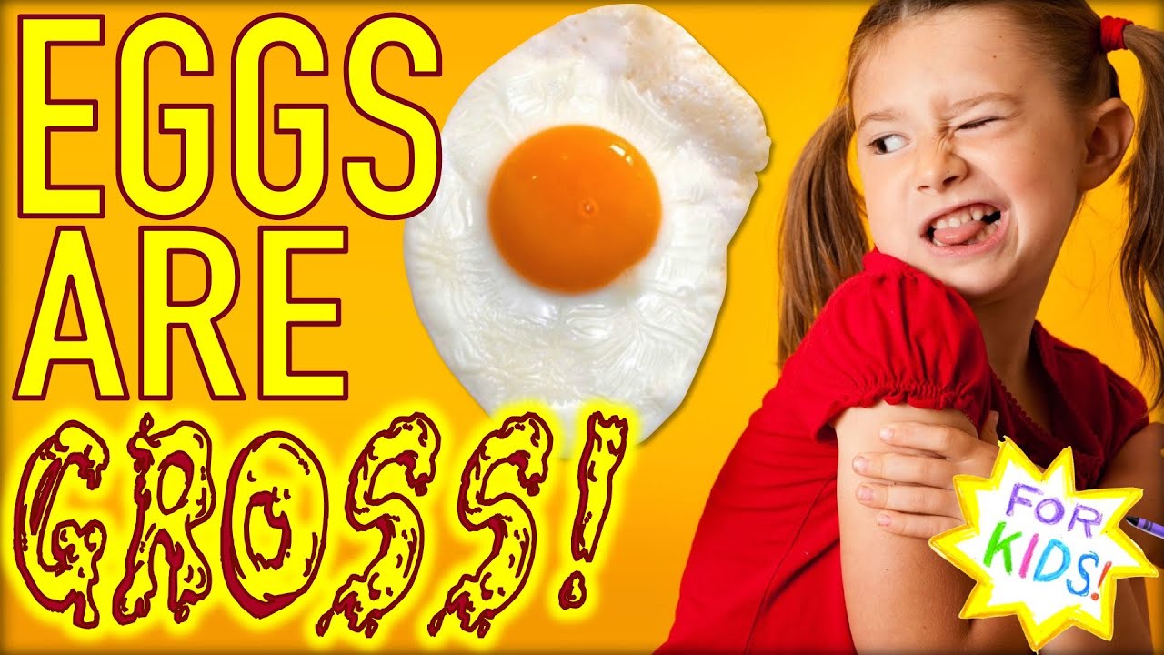 Why Eggs Are GROSS!!!