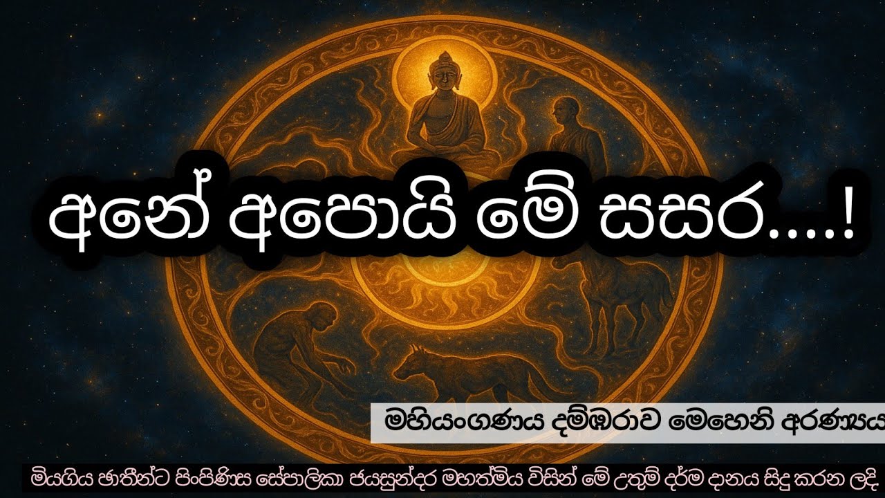 අනේ ආපොයි මේ සසර....!