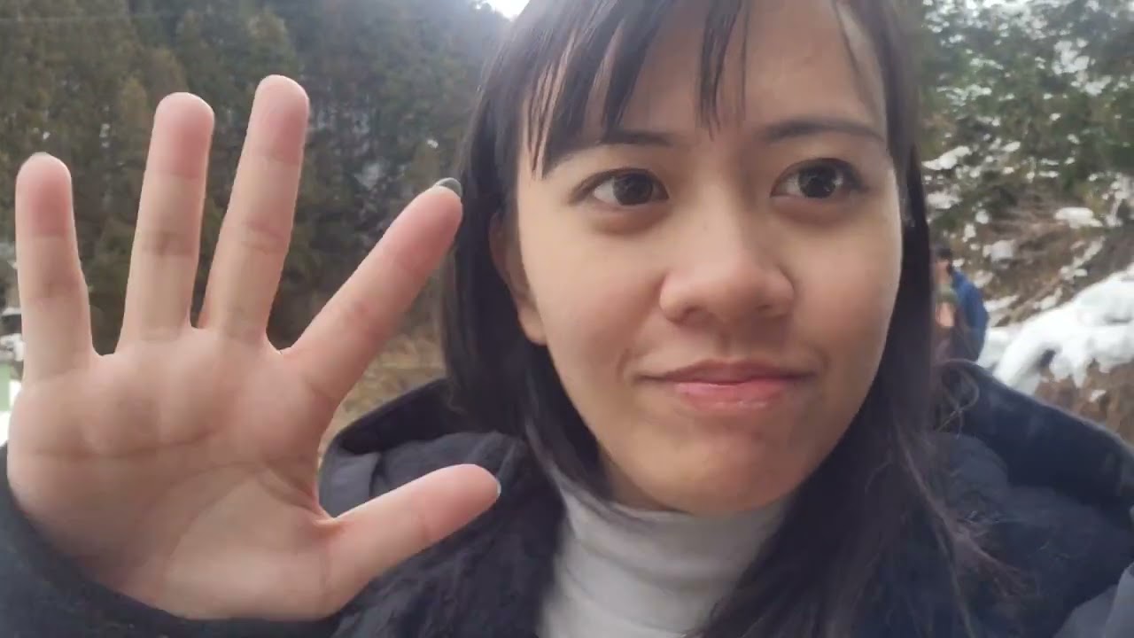 Snow monkey park & Nagano Trip January 2025