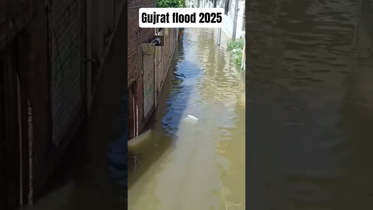 Gujrat flood 2025 #reels #gujrat #floodinpakistan #viral #trending #shorts #floodcrisis #floodnews
