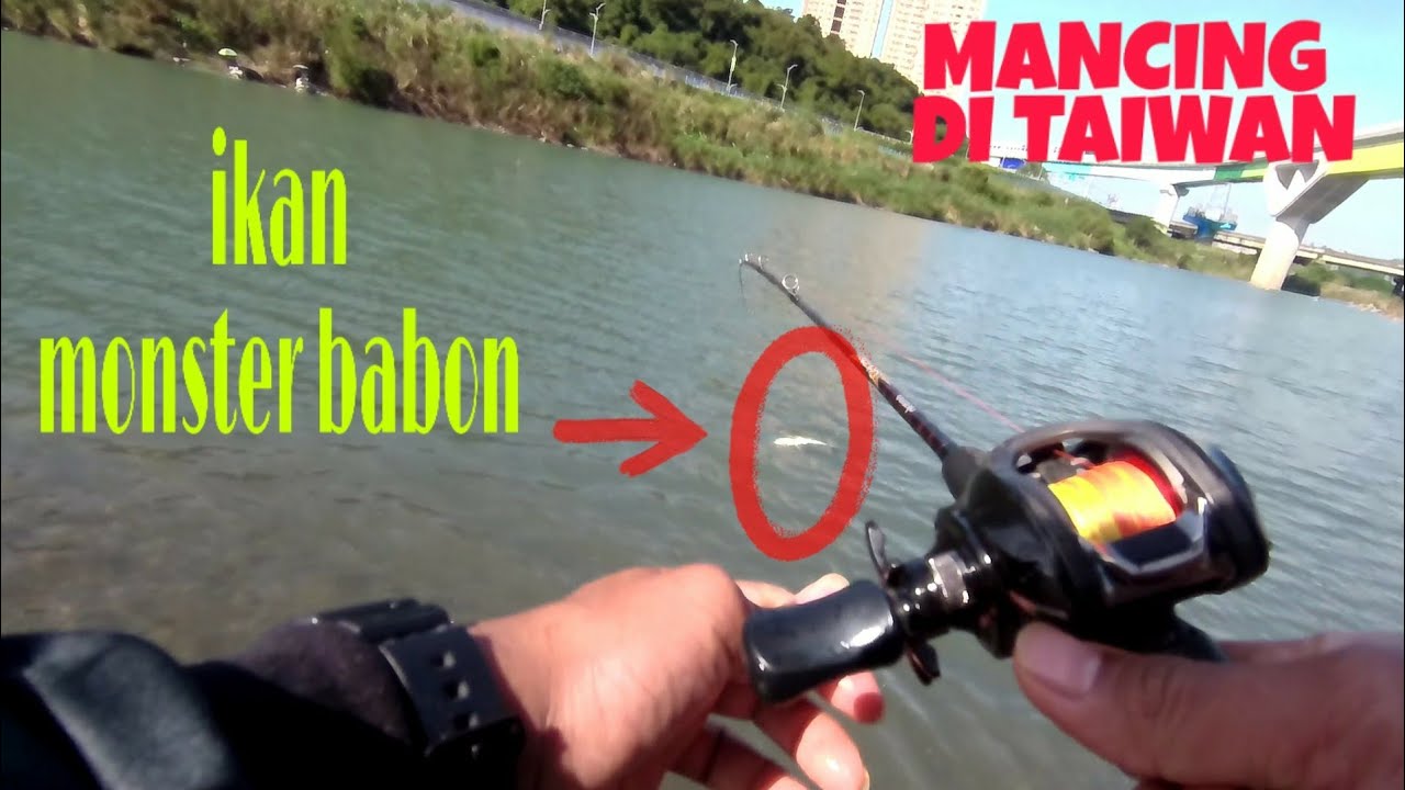 AMBYARR!!!JORANKU SAMPAI DIBAWA KABUR IKAN MONSTER