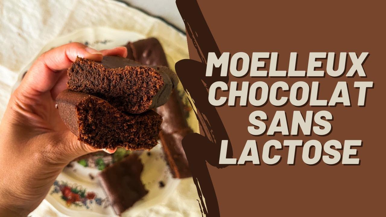 MOELLEUX AU CHOCOLAT SANS LACTOSE | SoyonsKitch