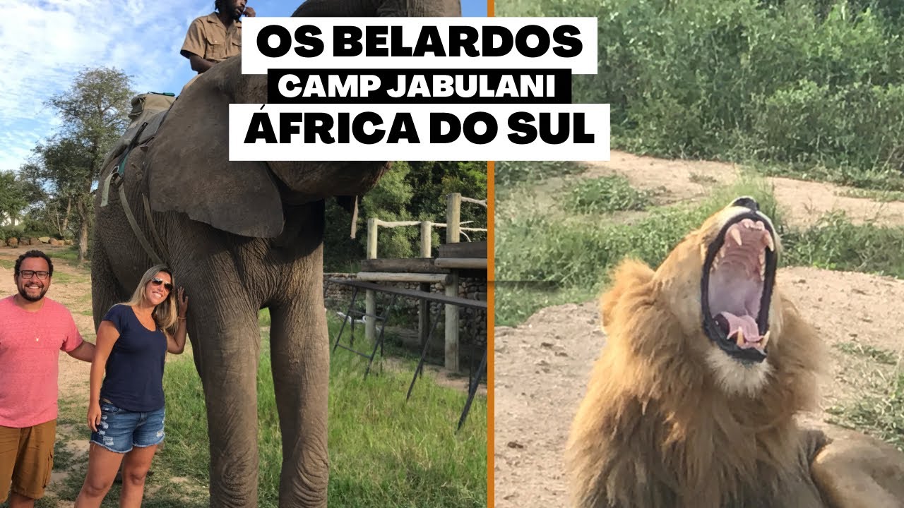 Safari no Camp Jabulani na África do Sul! Umas das melhores experiências das nossas vidas.