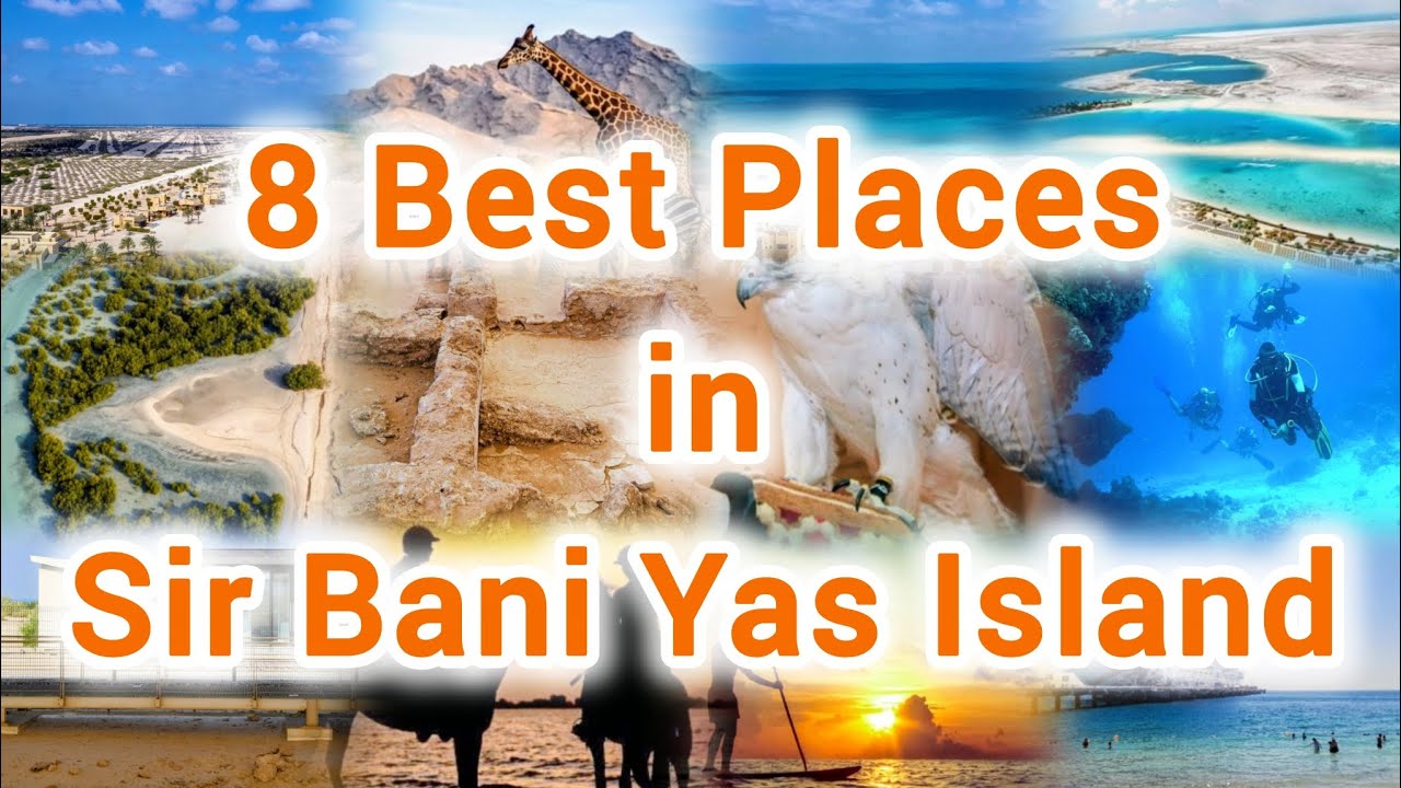 Sir Bani Yas Island UAE Tourist Places to Visit 