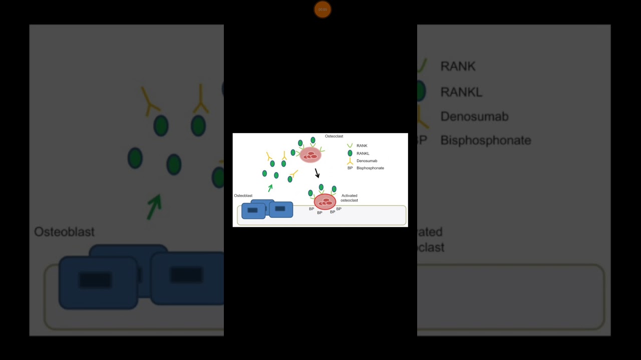 RANK-RANKL Denosumab