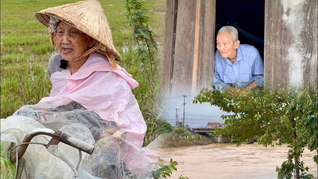 Các Cụ Già Nằm Trong Vùng Lũ Ninh Hòa | Nha Trang Biển Xanh 