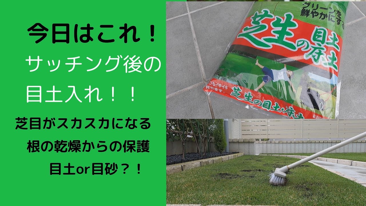 サッチングした後の処理！剥き出しになった根を目土で保護しよう！