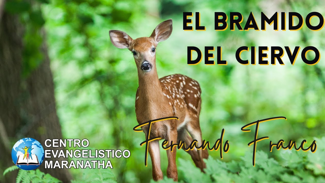 El bramido del ciervo | Fernando Franco