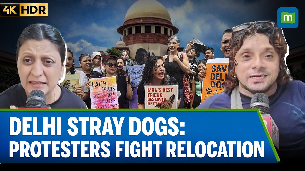 Delhi Animal Activists Protest Supreme Court Order on Stray Dogs