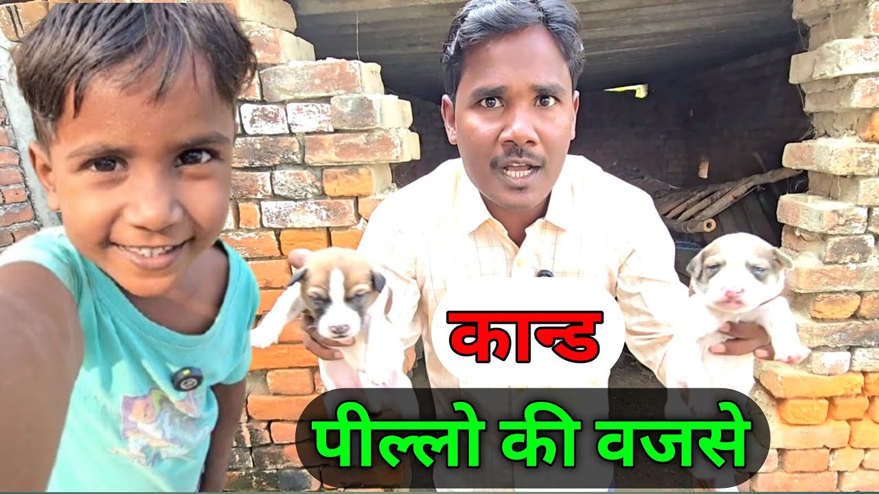 कान्ड पील्लो की वजसे 😔 Kand Pillo Ki Vajase Ajay Full Vkogs