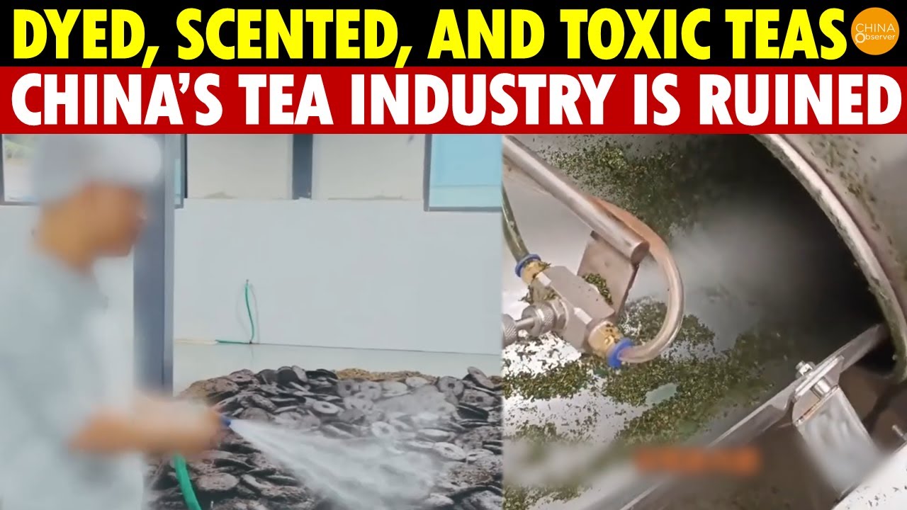 Fake Tea Floods China’s Market: Dyed, Scented, and Toxic Teas. The Chinese Tea Industry Is Ruined