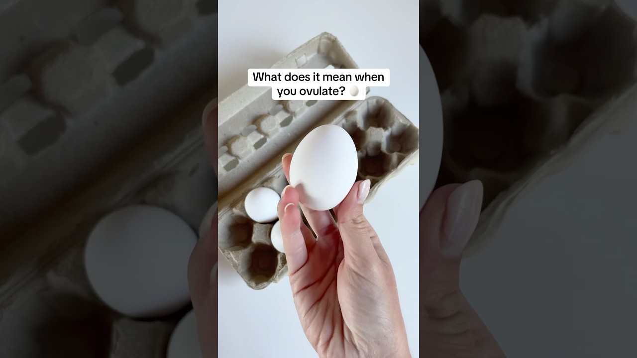 Ovulation explained in 15 seconds 🥚 