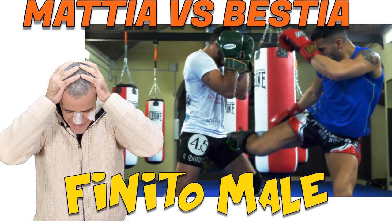 Mattia VS Bestia scambio colpi finisce male