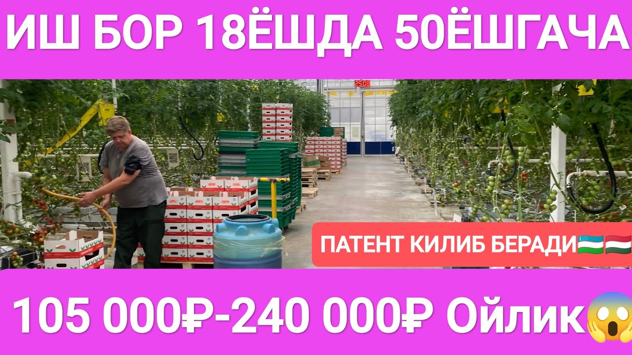 ⚡ ИШ БОР МОСКВА ВА МОСКВА ОБЛАСТЬ #срочно #musofir #иш #мигрантлар 