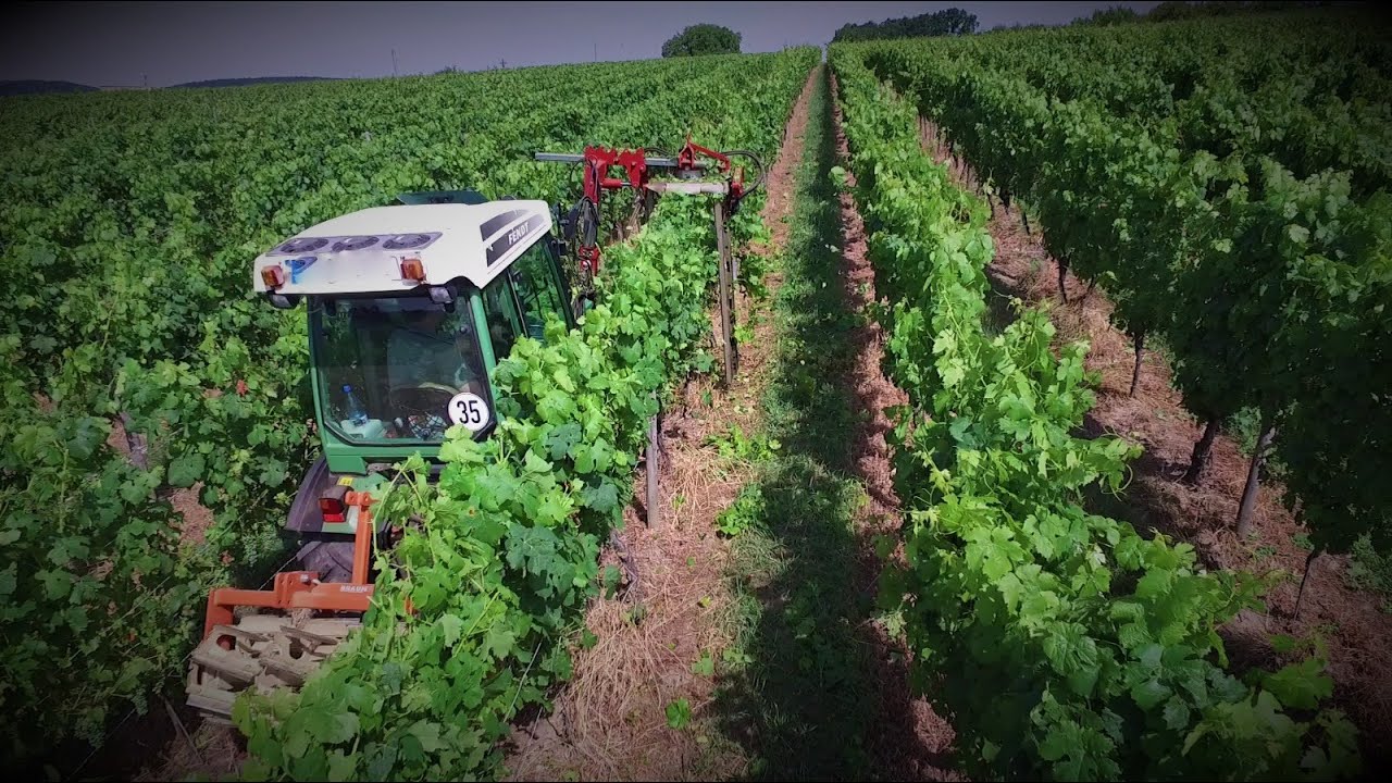 Fendt 207v | ERO | Laubschneider | Braun Mulch-Walze | Franken | Weinbau | Mainschleife | 2019