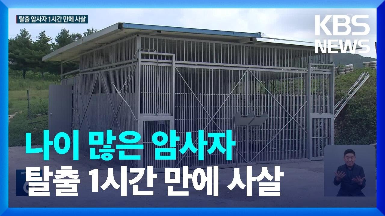 농장에서 탈출 암사자 1시간 만에 사살&hellip;&lsquo;사육금지&rsquo;법 시행 전 사고 / KBS  2023.08.14.