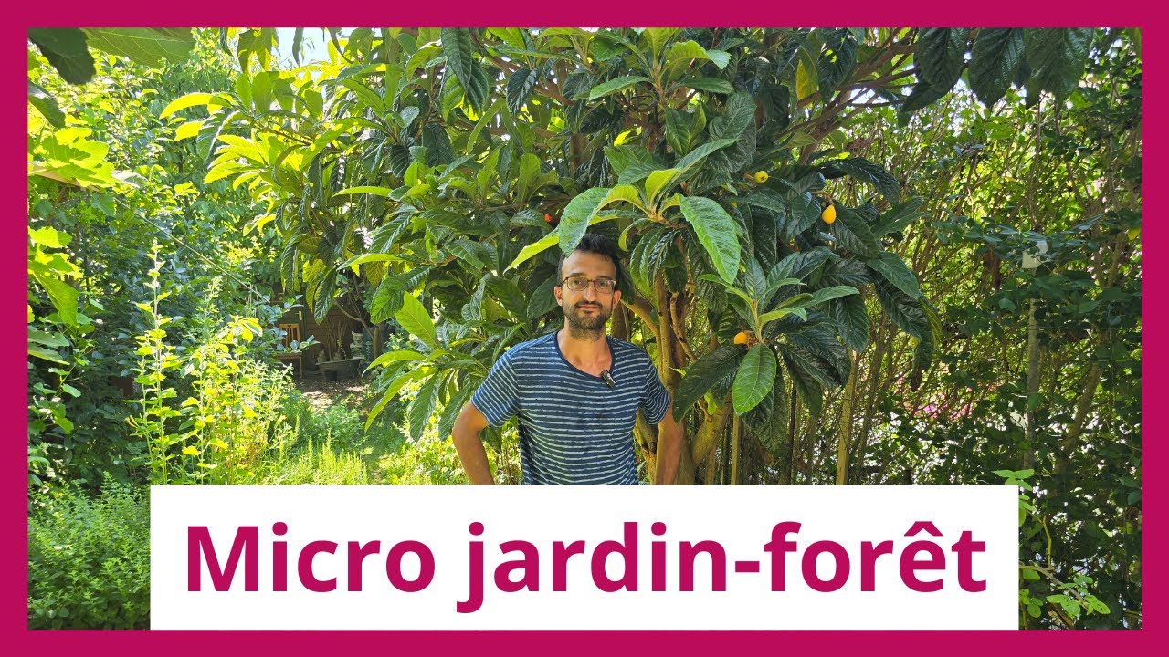 Visite d’un micro jardin-forêt ultra productif à Bruxelles