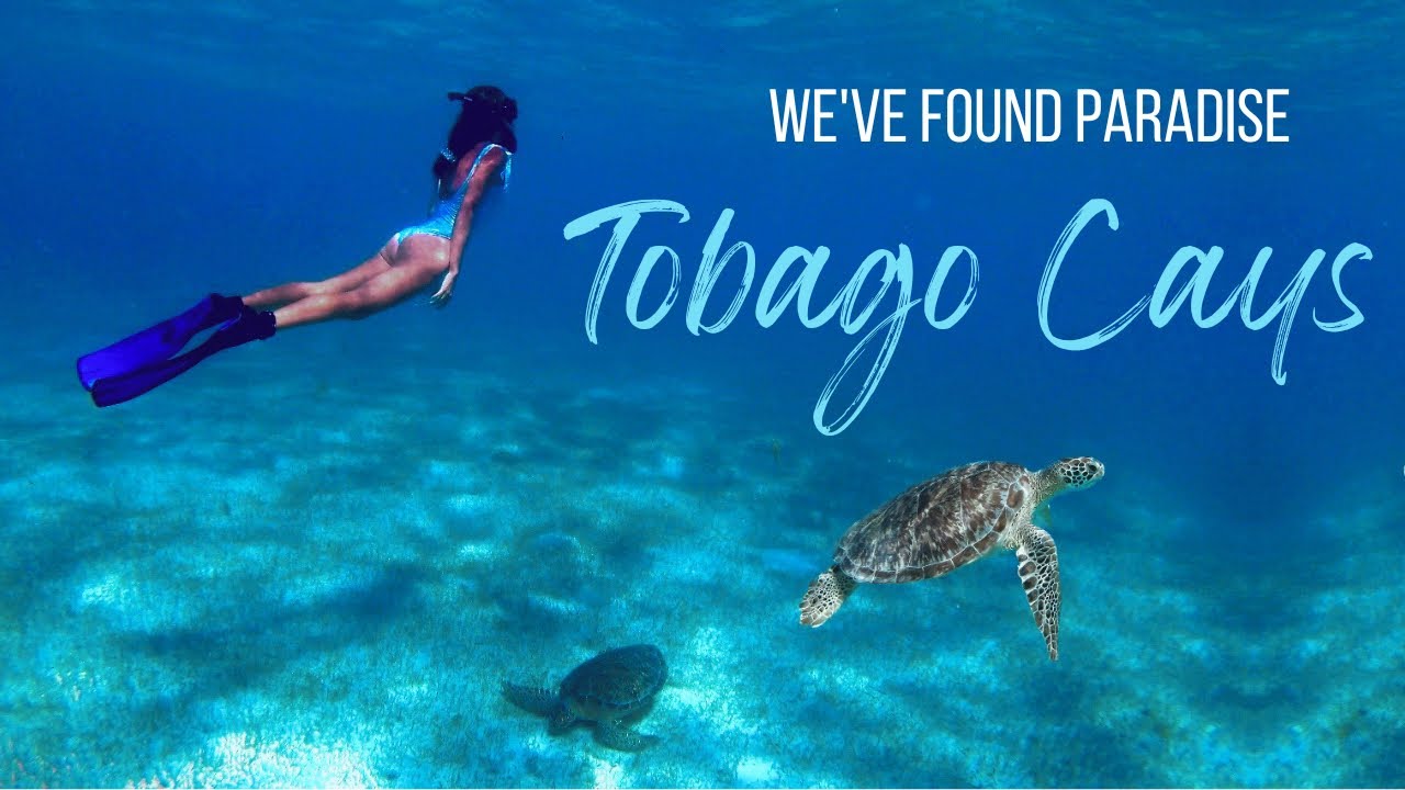 We SAILED to Tobago Cays 🪸🐢🐠 Saint Vincent and the Grenadines