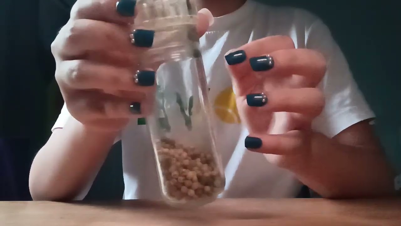 Christmas Advent Day 13 : ASMR Requested triggers and repeats (no talking)