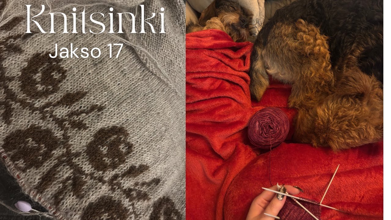 Muutamia sukkia ja muutamia kirjoja - Knitsinki jakso 17