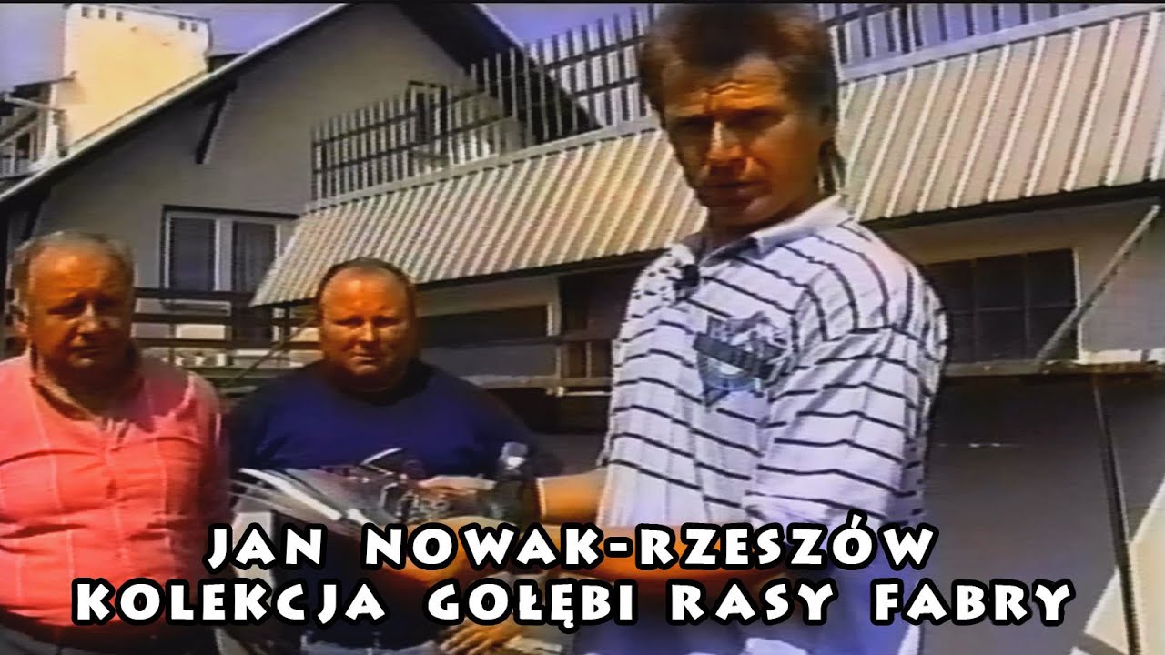 JAN NOWAK - RZESZÓW - KOLEKCJA GOŁĘBI FABRY