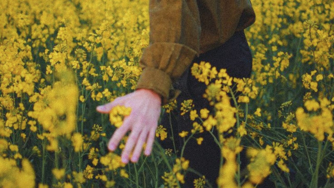 [FREE] Ed Sheeran X Acoustic Guitar Type Beat | Pop Instrumental | 